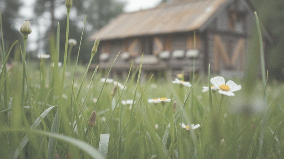 Jak CBG redukuje stany zapalne i ból?