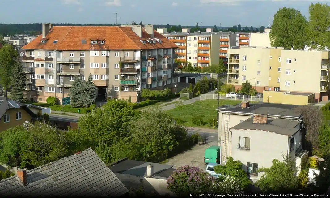 Wakacyjna akcja stomatologiczna dla dzieci w Krotoszynie