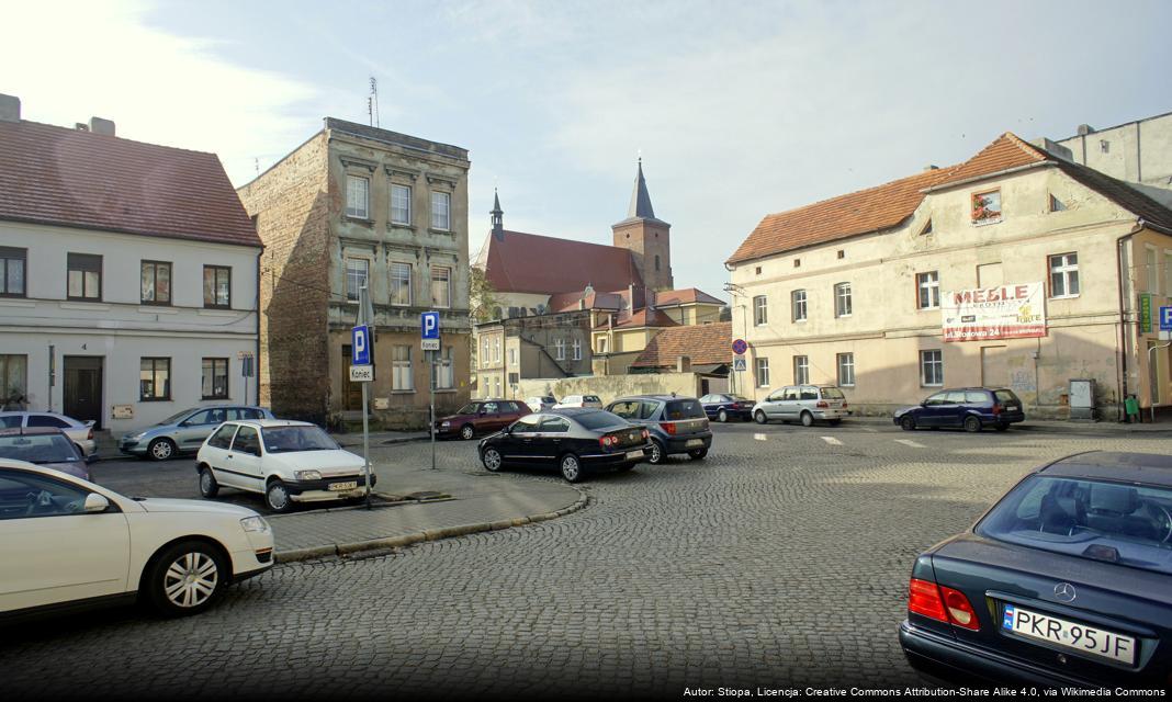 13 Urodziny Term Maltańskich – Ogólnopolskie Zawody Pływackie w Poznaniu