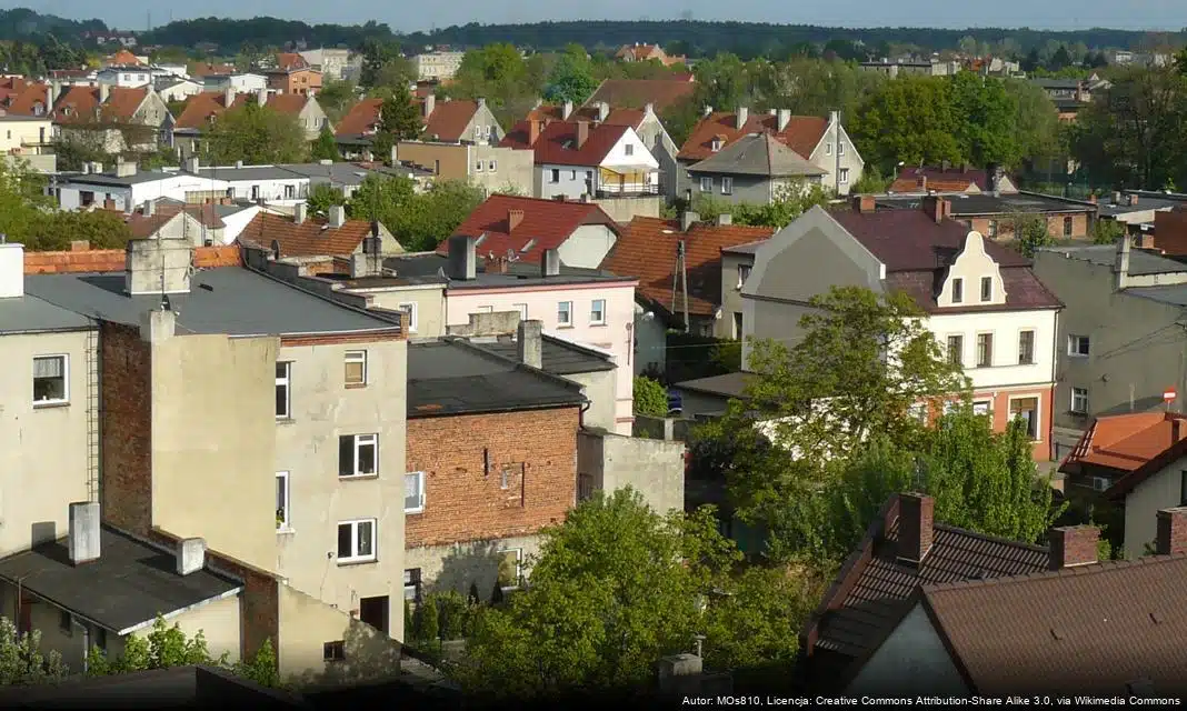 Ogłoszenie przetargu w projekcie „Cyberbezpieczny Samorząd”